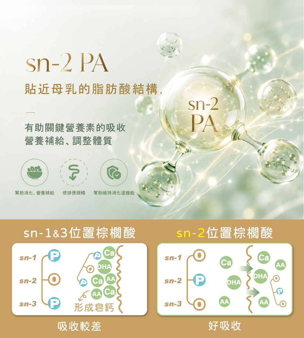 sn-2PA